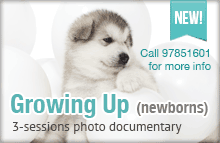 Newborn Pets Photography in Singapore