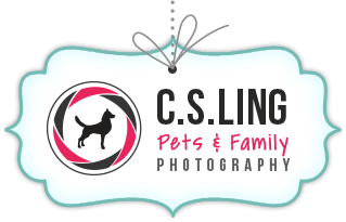 Pets Photography at C.S.Ling Photography